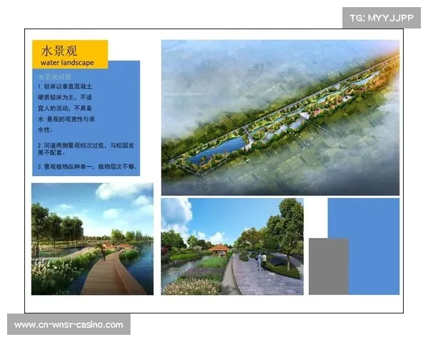 优化赛事积分规则提升竞技公平性与观赏性的新思考